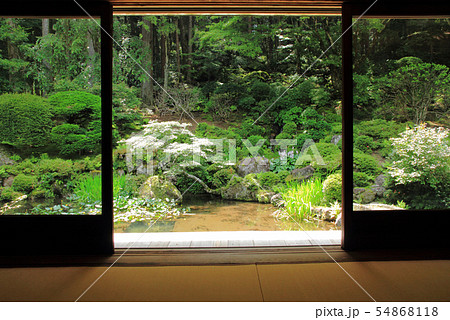 駒ヶ根 光前寺 本坊客殿庭園 駒ヶ根 光前寺 本坊客殿庭園 54868118