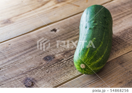 加賀太きゅうり 54868256