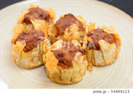 おいしい揚げ焼売 54869123