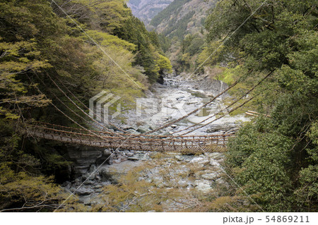 祖谷のかずら橋 54869211