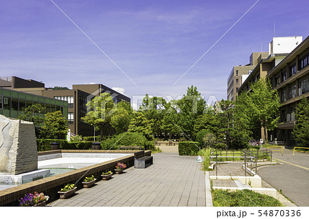 香川大学 幸町キャンパス 中央通り 香川県高松市 香川大学 幸町キャンパス 中央通り 香川県高松市 54870336