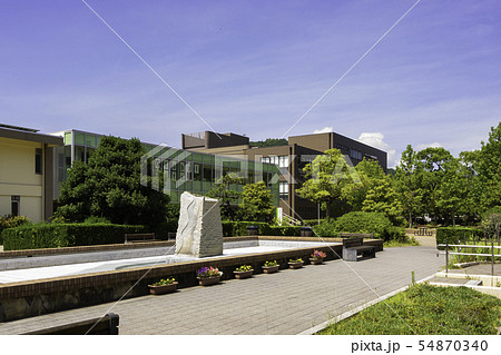 香川大学 幸町キャンパス 中央通り 香川県高松市の写真素材