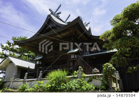 琴弾八幡宮 本殿 琴弾公園 香川県観音寺市 琴弾八幡宮 本殿 琴弾公園 香川県観音寺市 54870504