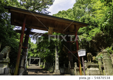 琴弾八幡宮　木の鳥居　琴弾公園　香川県観音寺市 54870538