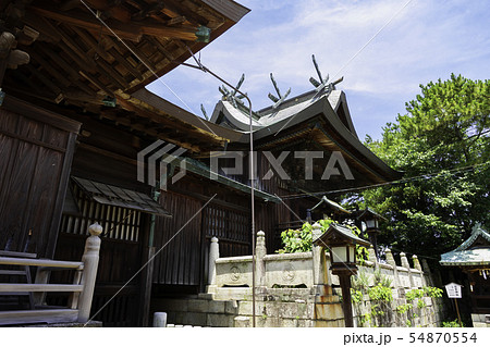 琴弾八幡宮 本殿 琴弾公園 香川県観音寺市 琴弾八幡宮 本殿 琴弾公園 香川県観音寺市 54870554