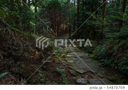 熊野古道 54870709