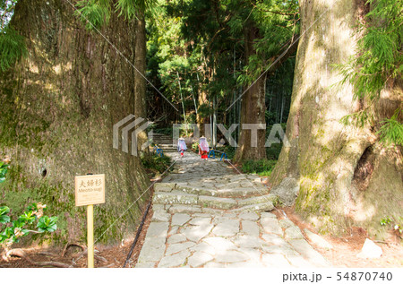 熊野古道 熊野古道 54870740