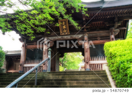 東京 板橋区 初夏の乗蓮寺 東京 板橋区 初夏の乗蓮寺 54870749