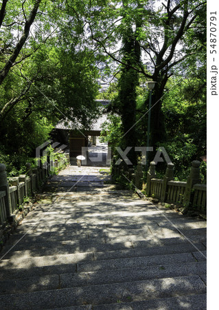 琴弾八幡宮 参道階段 琴弾公園 香川県観音寺市 琴弾八幡宮 参道階段 琴弾公園 香川県観音寺市 54870791