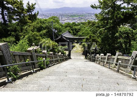 琴弾八幡宮 参道階段 琴弾公園 香川県観音寺市 琴弾八幡宮 参道階段 琴弾公園 香川県観音寺市 54870792