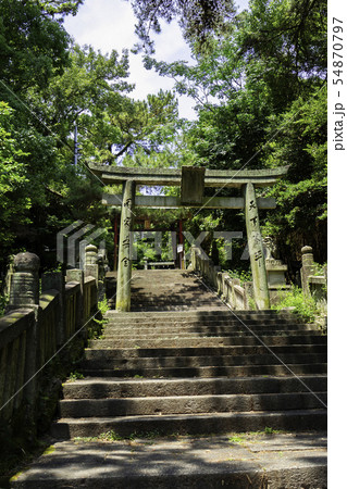 琴弾八幡宮 参道階段 琴弾公園 香川県観音寺市 琴弾八幡宮 参道階段 琴弾公園 香川県観音寺市 54870797
