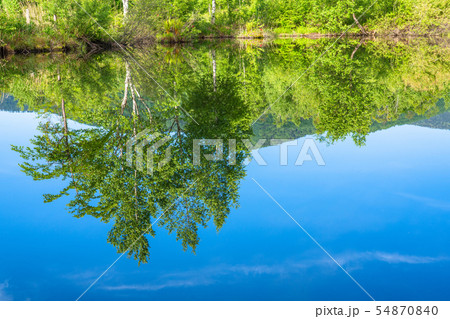 《長野県》新緑の乗鞍高原・オソメ池 《長野県》新緑の乗鞍高原・オソメ池 54870840
