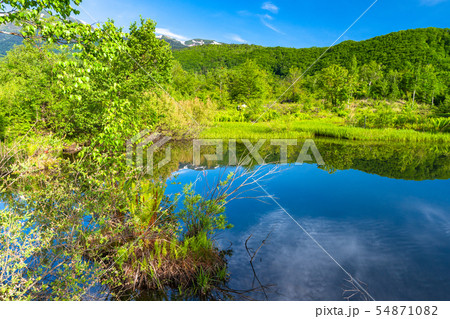 《長野県》新緑の乗鞍高原・オソメ池 《長野県》新緑の乗鞍高原・オソメ池 54871082