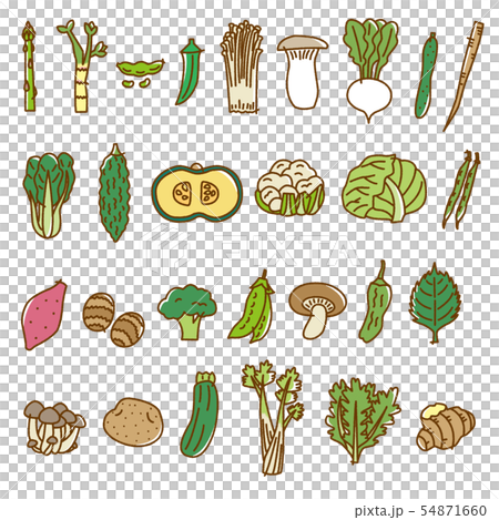 Vegetables 2 Assorted Variations Vegetable Material Vegetables 2 Assorted Variations Vegetable Material 54871660