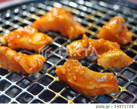 上ミノ（鹿児島牛） 54871738