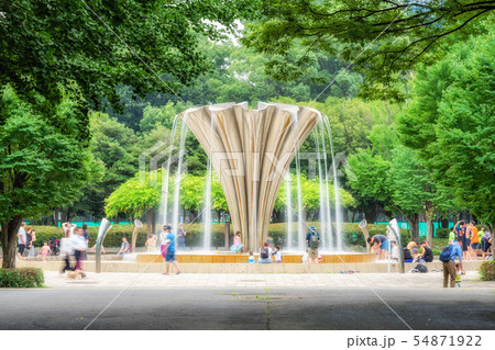 東京　板橋区　初夏の赤塚公園 54871922