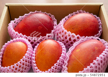 マンゴー 54872951