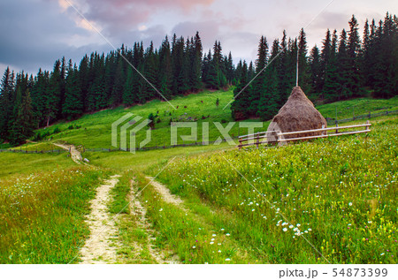 Summer mountain landscape 54873399
