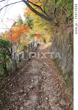 和歌山 高野山 弁天岳 登山道 和歌山 高野山 弁天岳 登山道 54873688