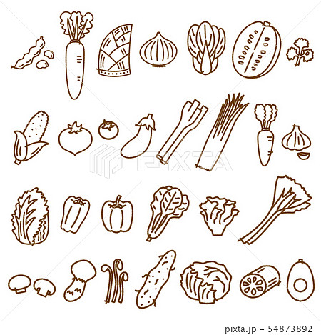野菜1　線画　盛り合わせ　バリエーション　ベジタブル　素材 54873892