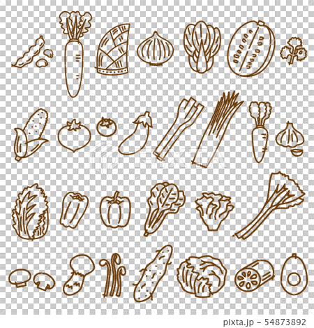 Vegetables 1 Line Drawing Assorted Variation Vegetable Material 54873892
