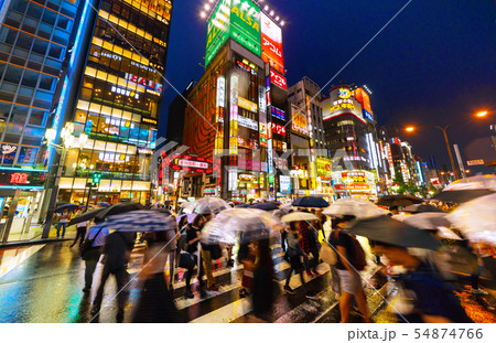 日本の東京都市景観 新宿・歌舞伎町などを望む 日本の東京都市景観 新宿・歌舞伎町などを望む 54874766