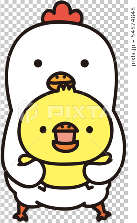 ひよこを抱っこするにわとり 54874848