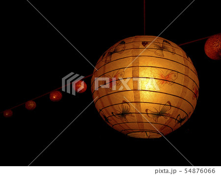 Decorate the lanterns in the night park 54876066