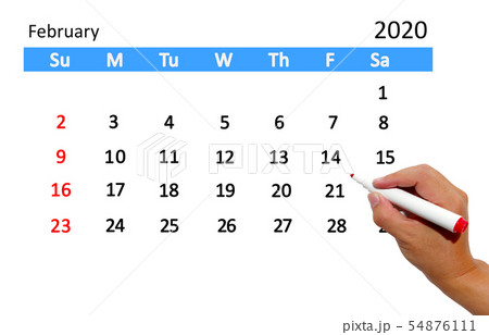 Hand highlighting date on calendar 54876111