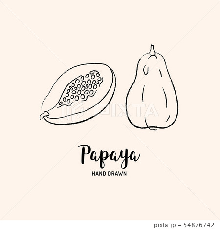 papaya fruit