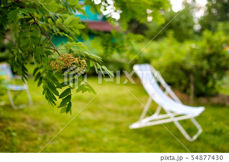 Blurred view on green lawn with white chair. Blurred view on green lawn with white chair. 54877430