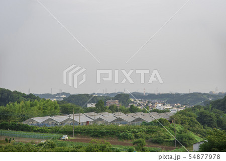 【多摩丘陵 田園】 【多摩丘陵 田園】 54877978
