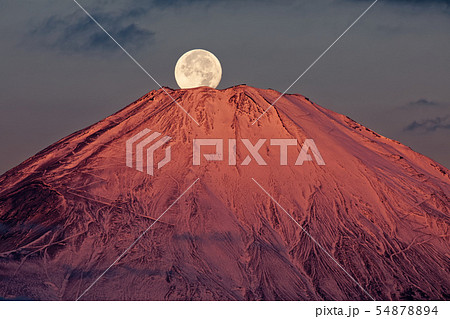 パール富士-箱根・金時山から見る富士山山頂に沈む満月 パール富士-箱根・金時山から見る富士山山頂に沈む満月 54878894