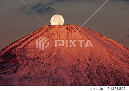 パール富士 箱根 金時山から見る富士山山頂に沈む満月の写真素材