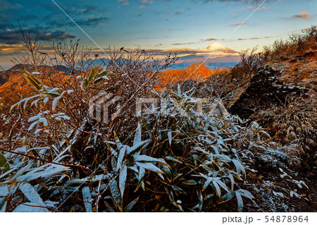 新雪の箱根・金時山から朝の富士山を望む 新雪の箱根・金時山から朝の富士山を望む 54878964