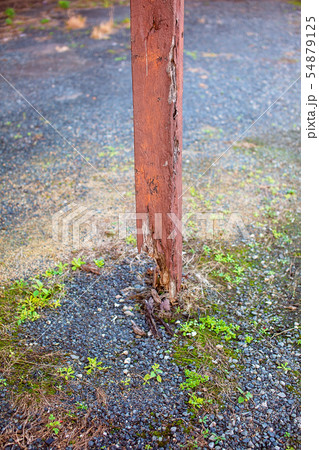 Old Rotting Timber Post 54879125