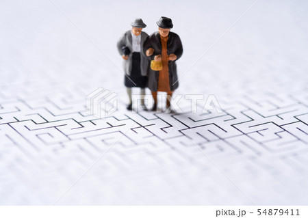 迷路・ミニチュア・高齢夫婦 54879411