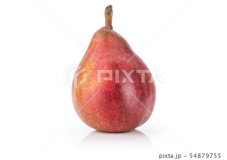 Anjou red pear isolated on white Anjou red pear isolated on white 54879755