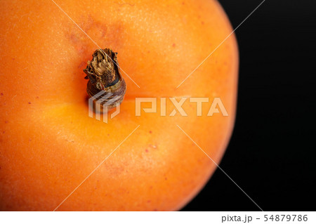 Fresh orange apricot isolated on black glass Fresh orange apricot isolated on black glass 54879786