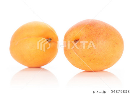 Fresh orange apricot isolated on white Fresh orange apricot isolated on white 54879838