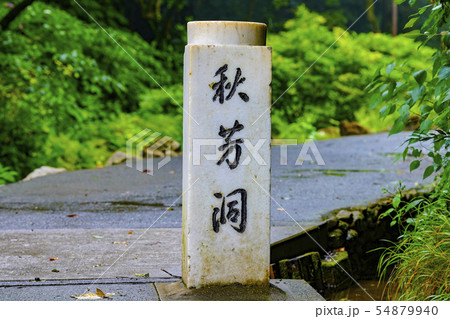 秋芳洞 山口県 美祢市 54879940