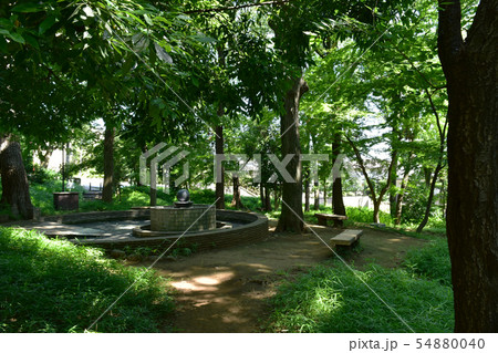 田園調布・宝来公園 田園調布・宝来公園 54880040