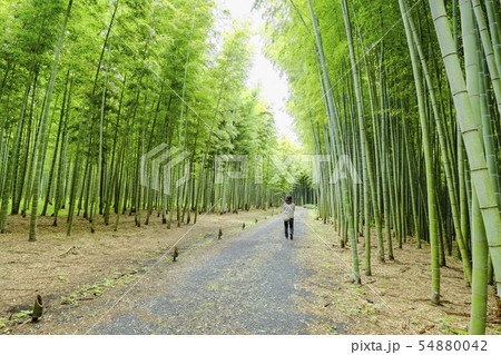 若竹の杜1 若竹の杜1 54880042