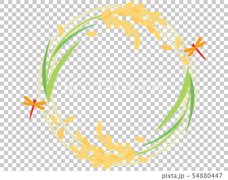 Rice 12 rice field frame Rice 12 rice field frame 54880447