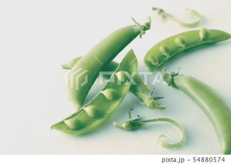 薄いパステルの緑のバックで撮影したえんどう豆のイメージ写真 薄いパステルの緑のバックで撮影したえんどう豆のイメージ写真 54880574