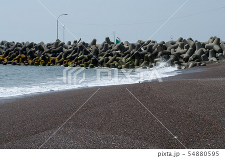 砂浜と堤防 砂浜と堤防 54880595