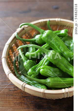 木目板背景の緑の夏野菜のししとう 木目板背景の緑の夏野菜のししとう 54882018