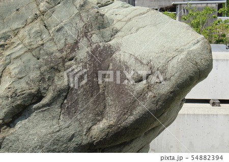 荒い岩肌 荒い岩肌 54882394