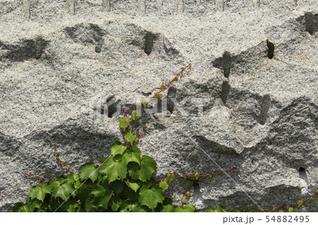 荒い岩肌 54882495