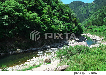 新緑の中山七里 新緑の中山七里 54882960
